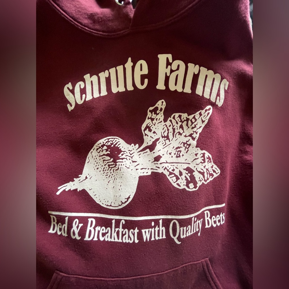 Schrute Farm’s‎ hoodie from The Office. Men size Medium - Picture 3 of 5